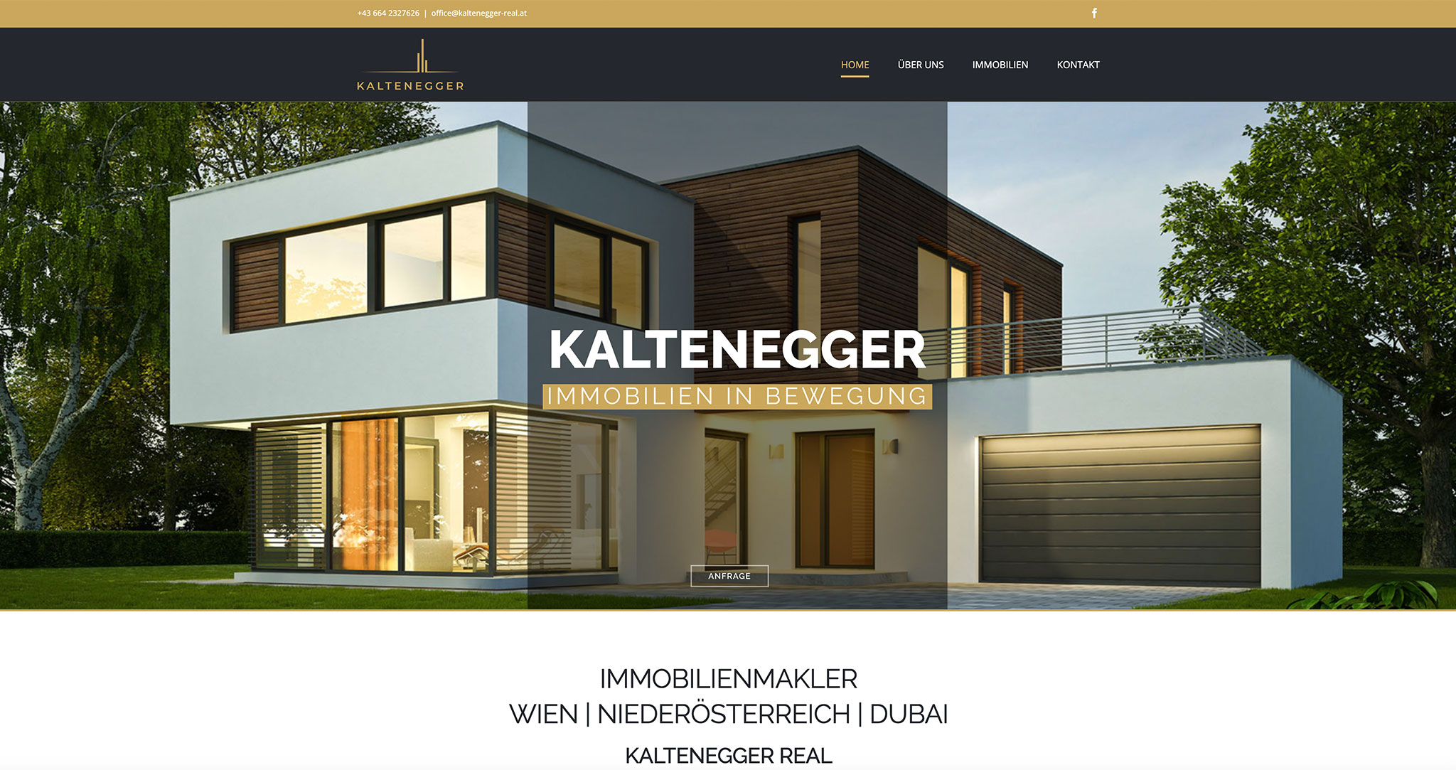 WEBDESIGN WIEN 5 kaltenegger_real_01
