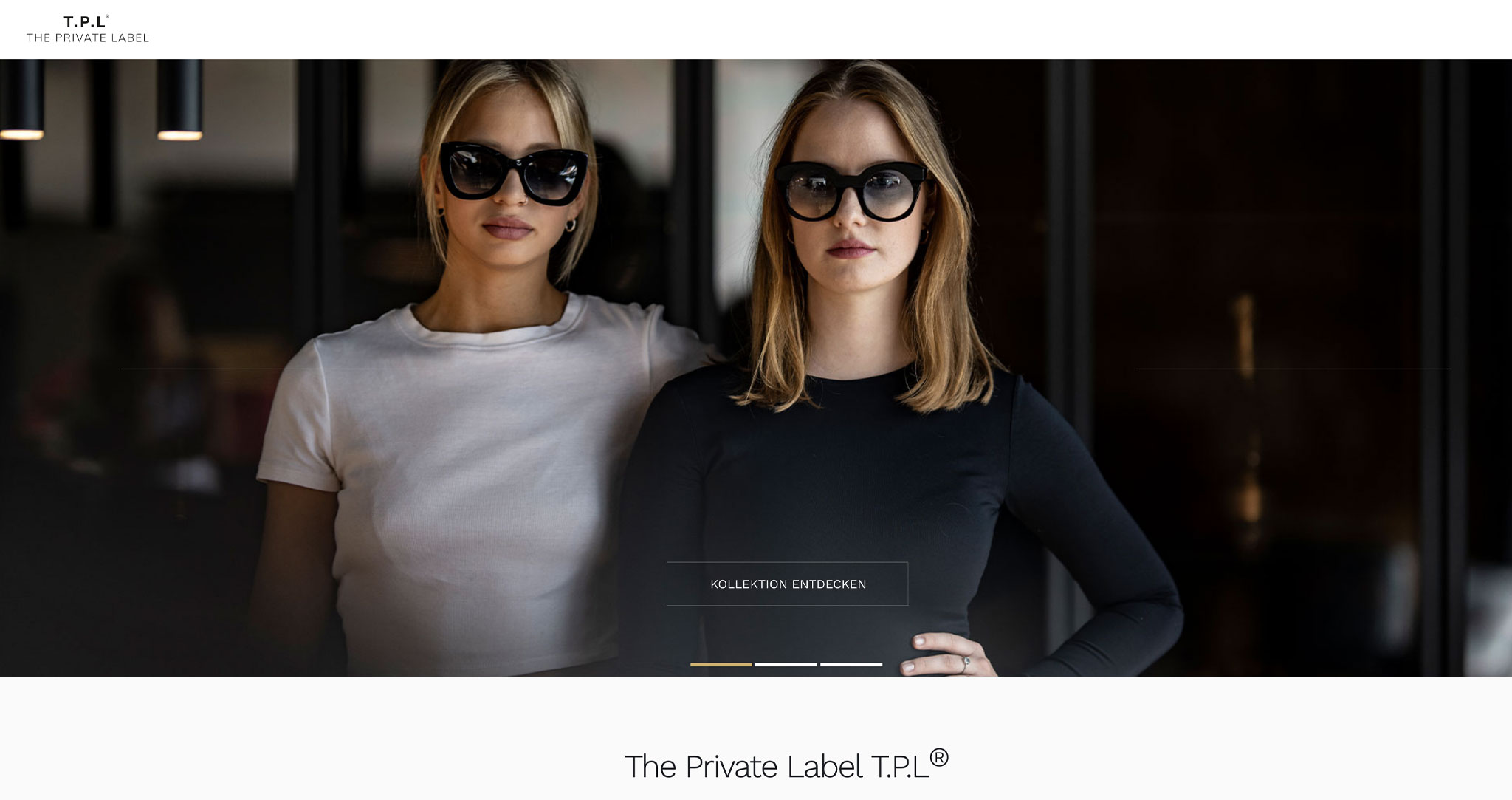 WEBDESIGN NIEDERÖSTERREICH 4 TPL The private Label