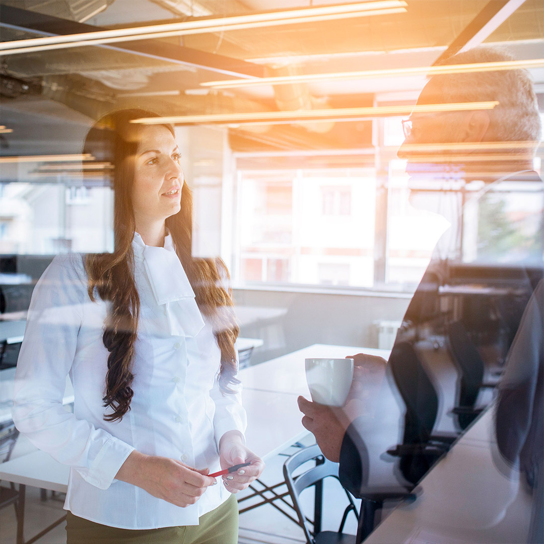 homepage-erstellen-moedling homepage-erstellen-moedling