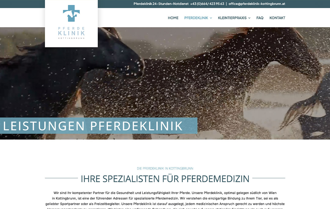 pferdeklinik-webdesign pferdeklinik-webdesign