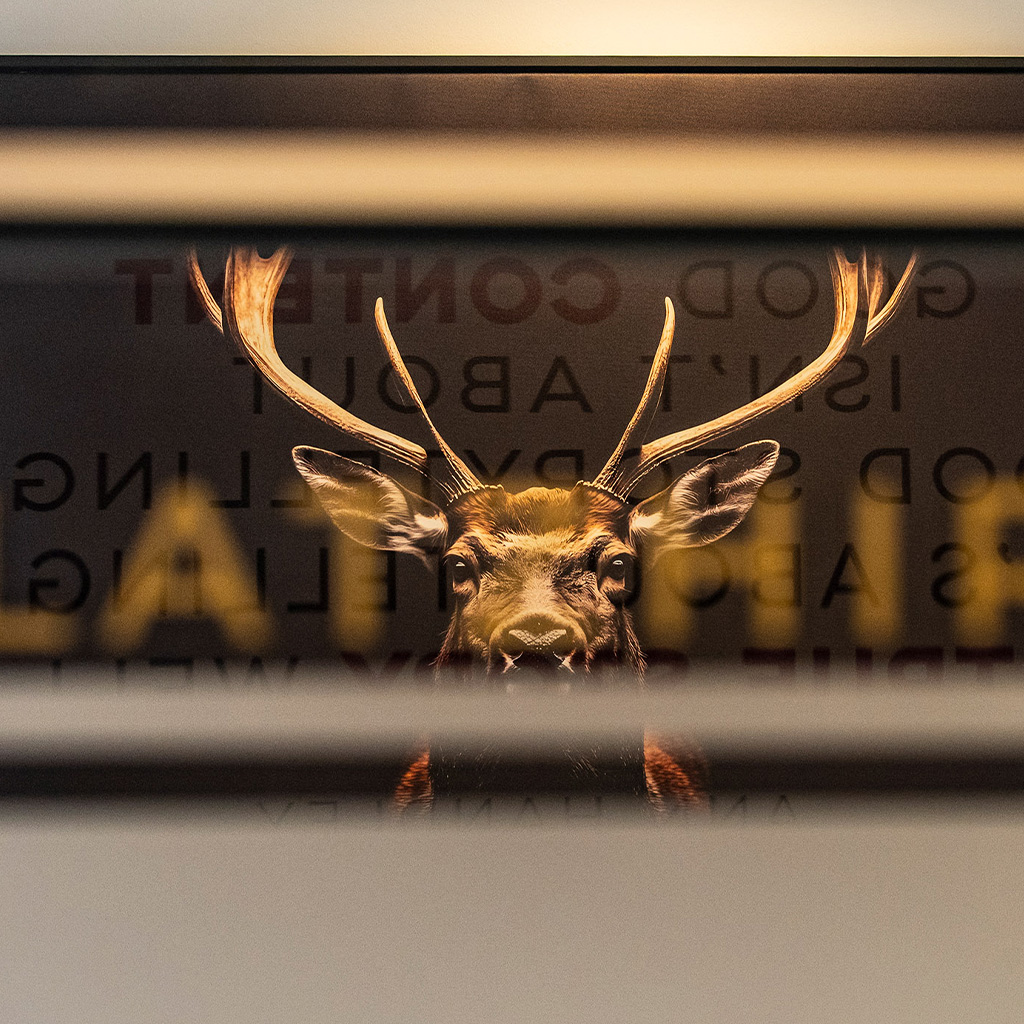 webdesign-wiener-neustadt